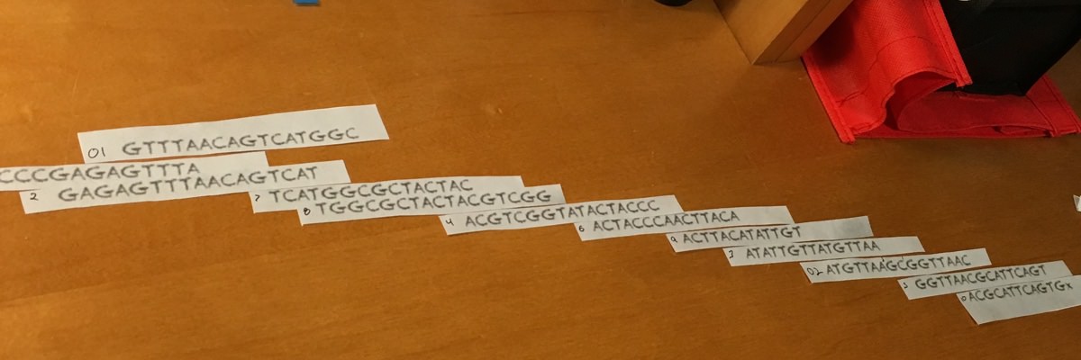 Putting the pieces together